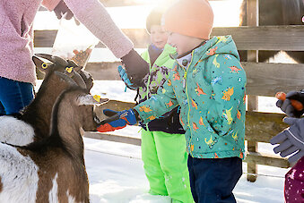 Urlaub für Kinder in Neureichenau am Nationalpark Bayerischer Wald